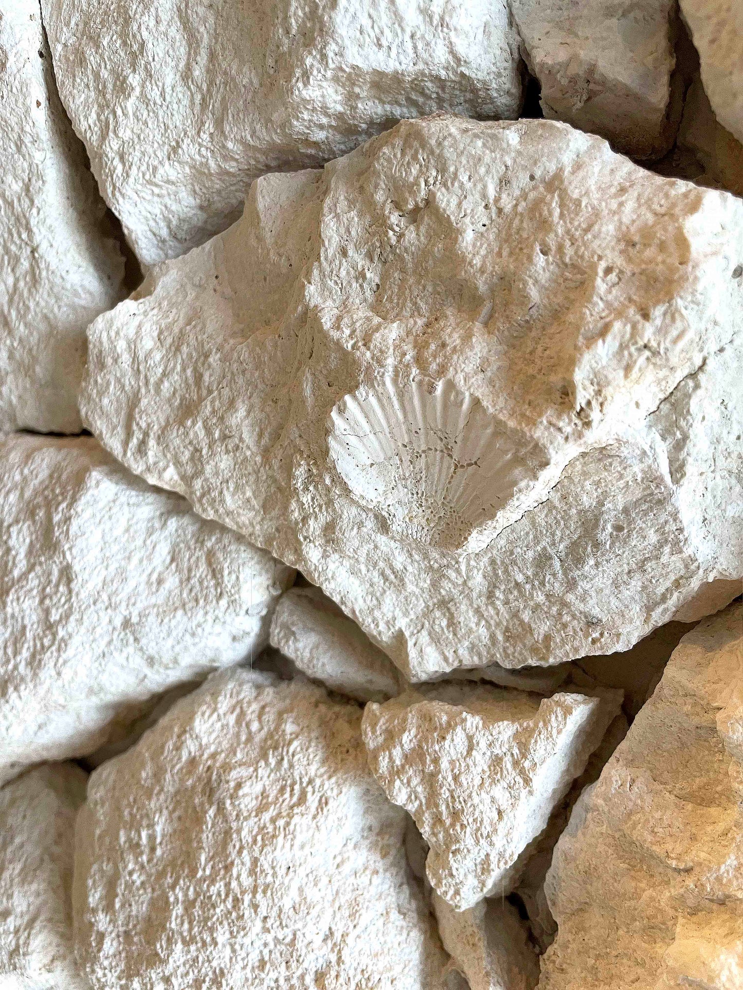 Luxury Limestone Stone Cladding | Made in Bali | Split Face Palimanan Stone Wall Tiles